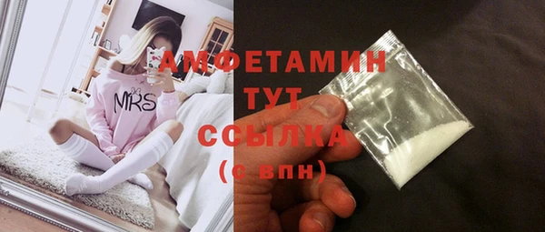 прущие грибы Абинск