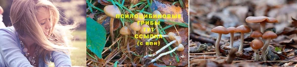 каннабис Абаза