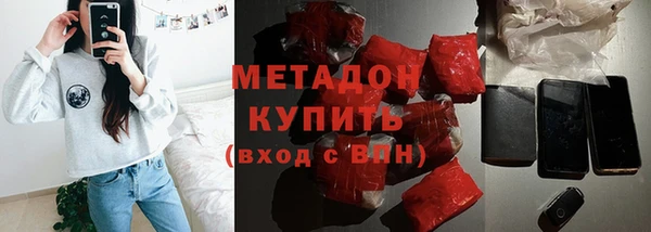 прущие грибы Абинск