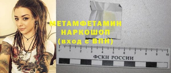 прущие грибы Абинск