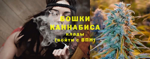 прущие грибы Абинск