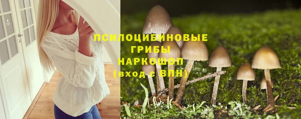 прущие грибы Абинск