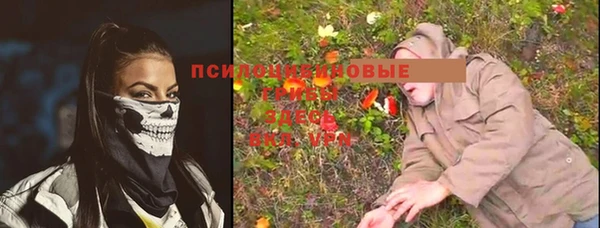 прущие грибы Абинск
