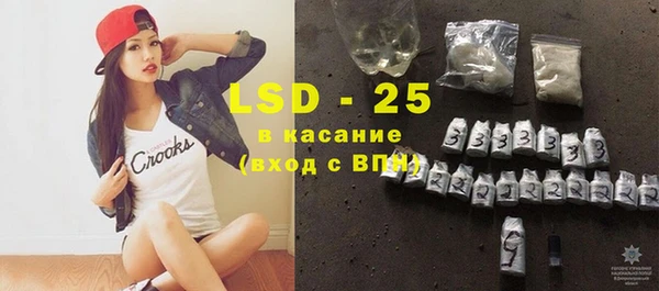 прущие грибы Абинск