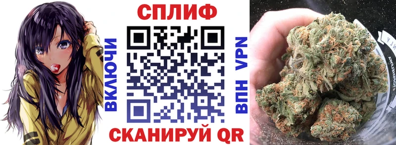 ОМГ ОМГ сайт  Циолковский  Бошки марихуана Bruce Banner 